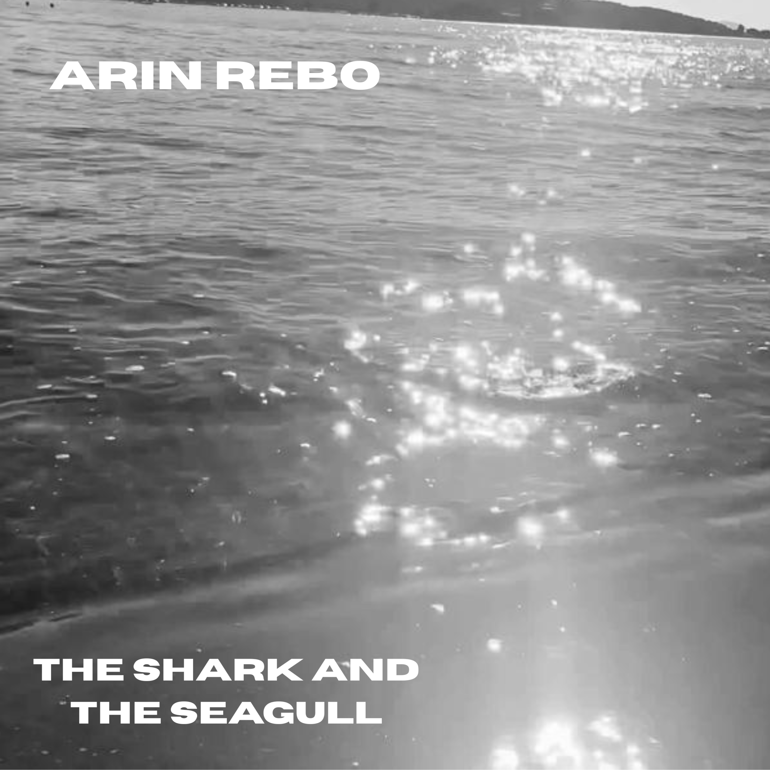 sharkandseagullCover