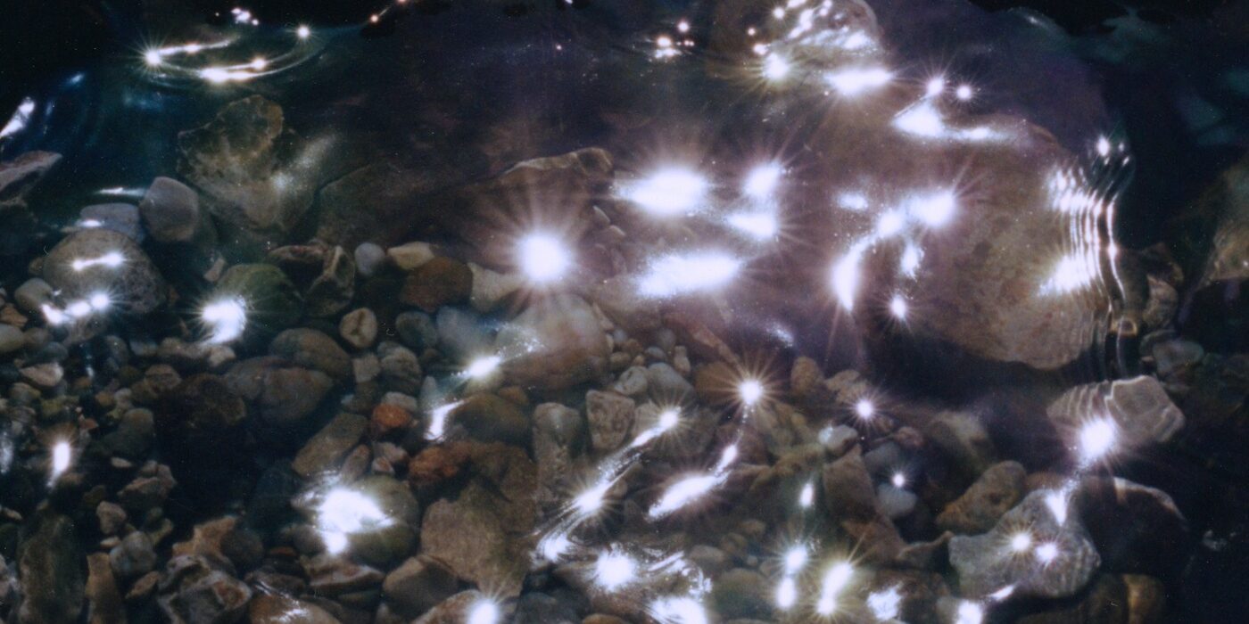 Arin Rebo Light Spine cover